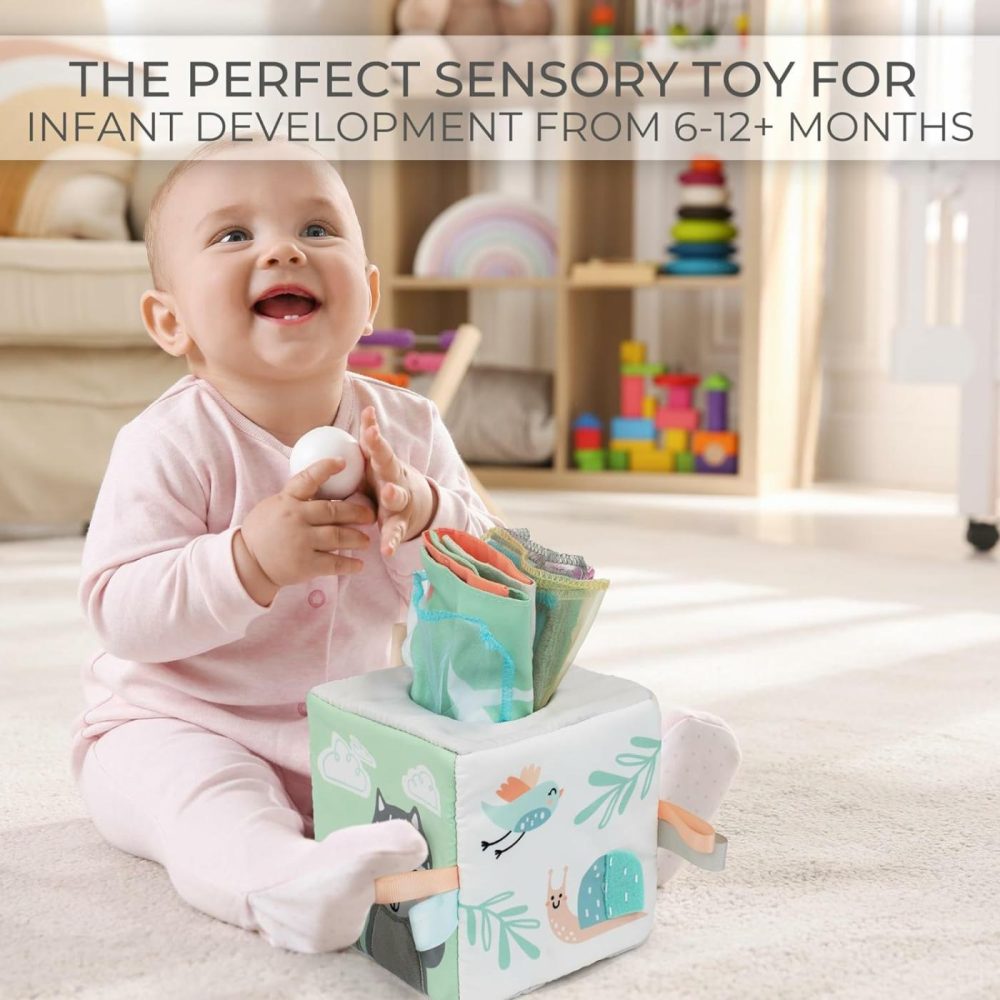 Fun Baby Tissue Box With Stimulating Mirror For Endless Entertainment – Soft Montessori Toy W/ Crinkle Paper & Fabric Tissues – The Perfect Sensory Toy For Newborn/Infant Development From 6-12+ Months  |  Push & Pull Toys All Toys Push & Pull Toys