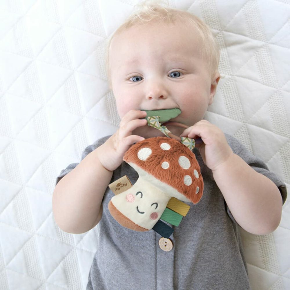 Infant Toy & Teether – Itzy Pal Baby Teething Toy Includes Lovey  Crinkle Sound  Textured Ribbons & Silicone Teether Toy For Newborn (Mushroom)  |  Teethers All Toys Mushroom