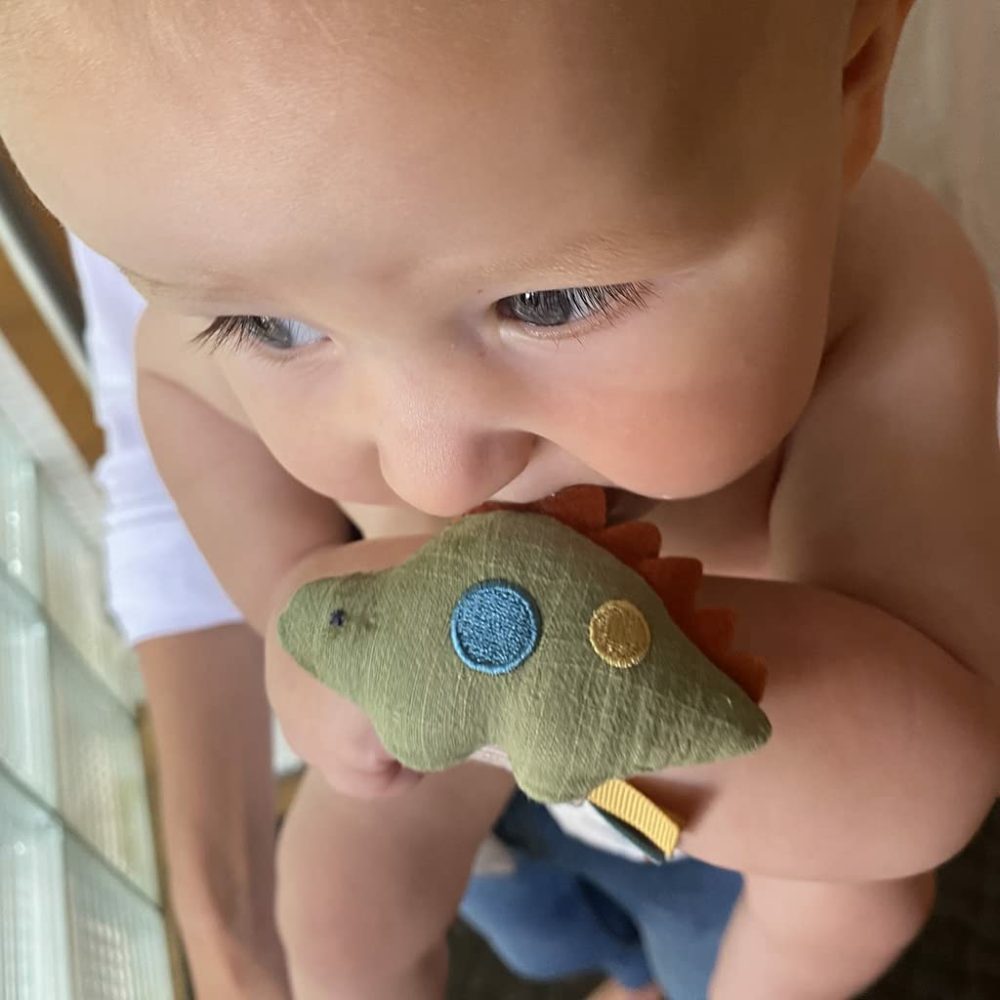 Itzy Bitzy Rattle  Wearable Wrist Rattle For Babies 0 Months And Up – Baby Rattle Toy With Textured Ribbon  Made With Natural Cotton (Dinosaur)  |  Rattles & Plush Rings All Toys Dinosaur