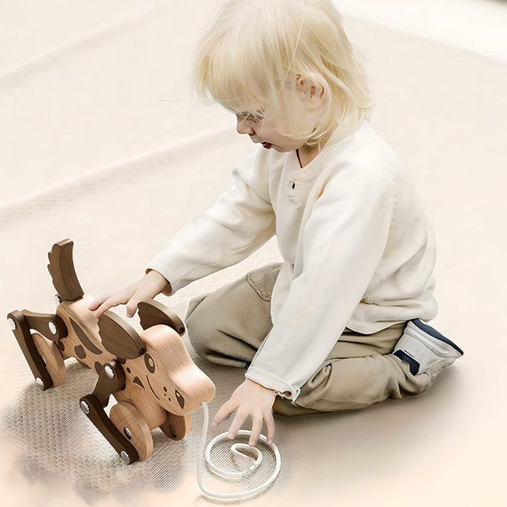 Montessori Toys 1 2 3 4 Years Old Boys Girls Wooden Walking Pull Dog Toy For Baby Toddler  Pull Along Walking Toys  Walk Along Puppy Pull  Wooden Pull & Push Toy  |  Push & Pull Toys All Toys Push & Pull Toys