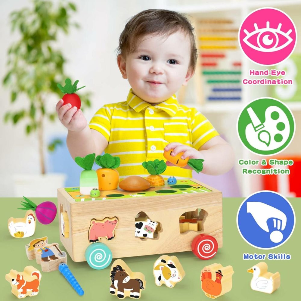 Toddlers Montessori Wooden Learning Toys For 1 2 3 Year Old Boys Girls  Shape Sorting Toys With Animals  Early Educational Fine Motor Skills Game  For Kids Age 1-3  |  Sorting & Stacking Toys All Toys Sorting & Stacking Toys