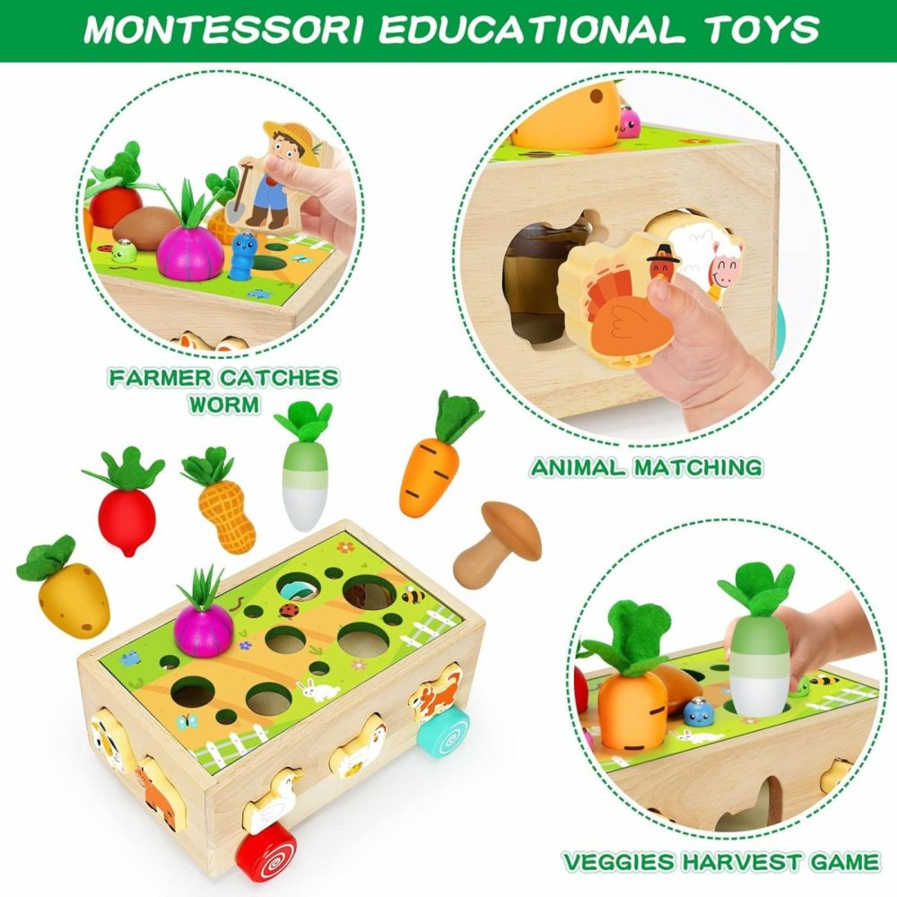 Toddlers Montessori Wooden Learning Toys For 1 2 3 Year Old Boys Girls  Shape Sorting Toys With Animals  Early Educational Fine Motor Skills Game  For Kids Age 1-3  |  Sorting & Stacking Toys All Toys Sorting & Stacking Toys