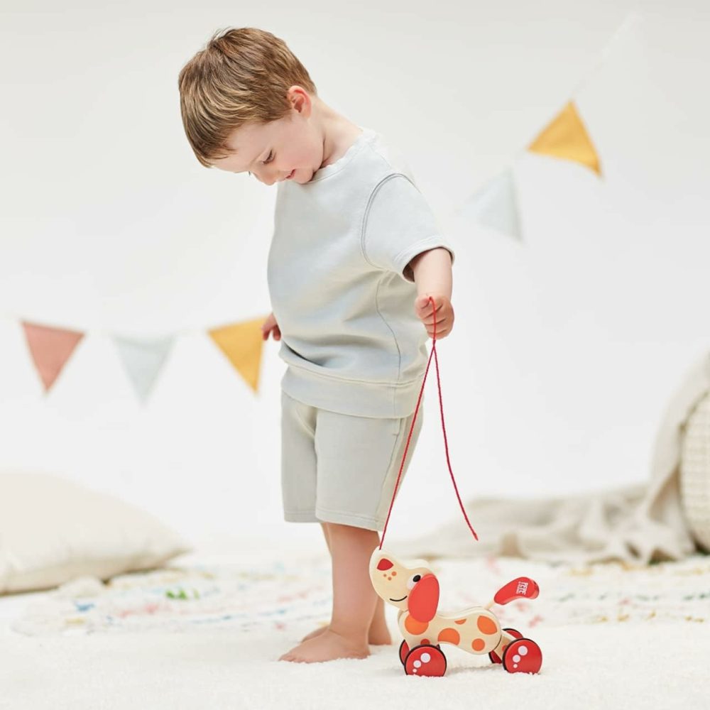 Walk-A-Long Puppy Wooden Pull Toy By  | Award Winning Push Pull Toy Puppy For Toddlers Can Sit  Stand And Roll. Rubber Rimmed Wheels For Easy Push And Pull Action  Red   Red/Orange  |  Push & Pull Toys All Toys Push & Pull Toys